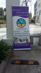 Adopciones Midmall