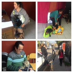 Esterilizacion Huechuraba